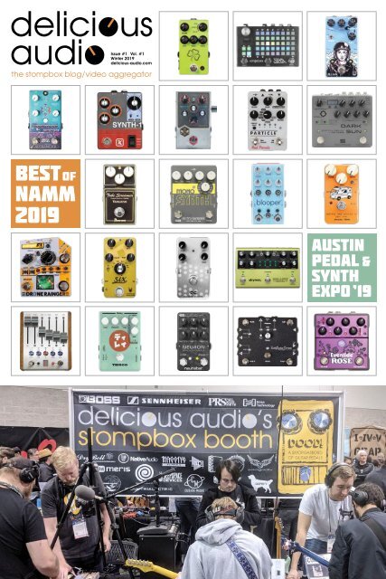 Delicious Audio #1 - Best Pedals of NAMM 2019 - Best Pedals of 2018 - Austin Pedal and Synth Expo 