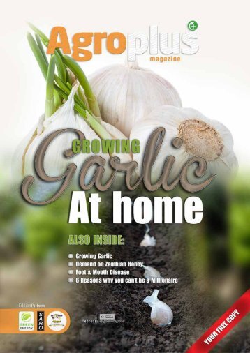 Web AgroPLUS 34 January