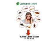 No.1 Pest Control Gurgoan