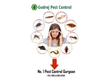 No.1 Pest Control Gurgoan
