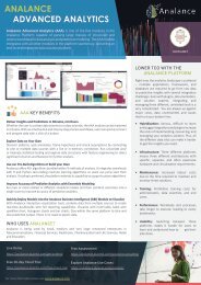 Analance Advanced Analytics Infosheet