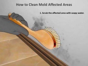 How to Clean Mold Affected Areas