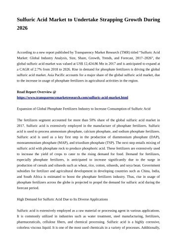 Sulfuric Acid Market