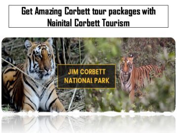 Get Amazing Corbett tour packages with Nainital Corbett Tourism