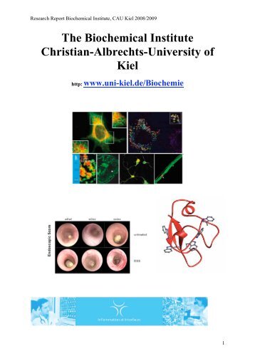 The Biochemical Institute Christian-Albrechts-University of Kiel