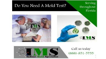 Home Mold Service 1-888-851-5755