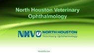 North Houston Pet Eye Health 