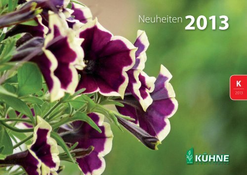 Petunia - Kühne Jungpflanzen GbR