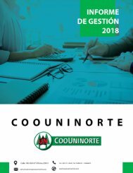 Informe de Gestion 2018  - 1