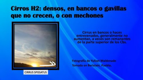 Cirros H1 En Forma De Fi Cirros H1 En Forma De Fi