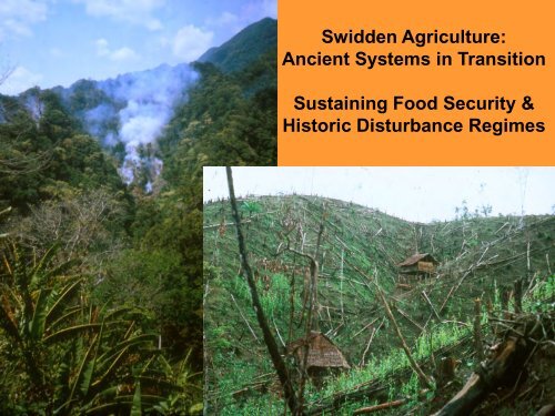 Swidden Agriculture Ancient Systems In Transition Sustaining Food