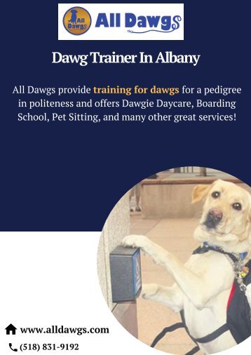 Dawg Trainer In Albany