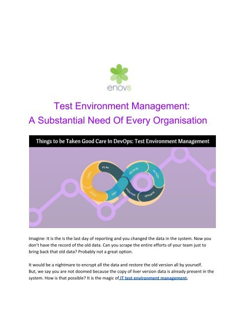 Test Environment Management_ A Substantial Need Of Every Organisation