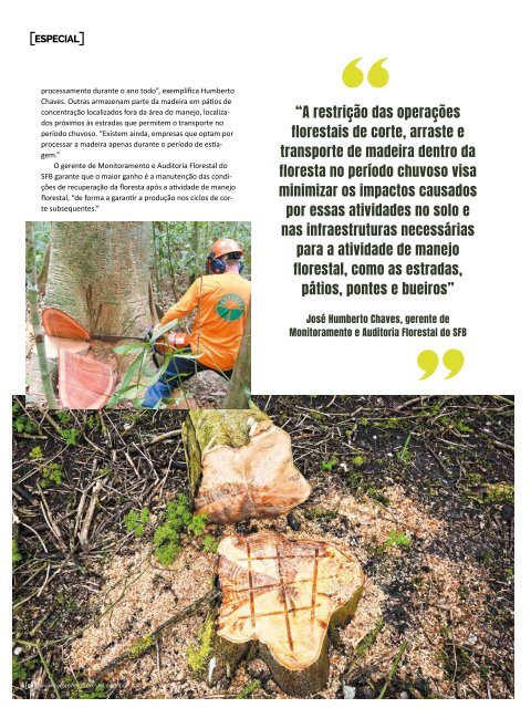 *Março/2019 - Revista Florestal 205