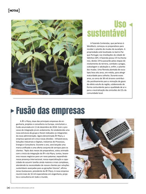 *Março/2019 - Revista Florestal 205