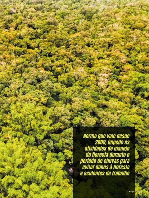 *Março/2019 - Revista Florestal 205