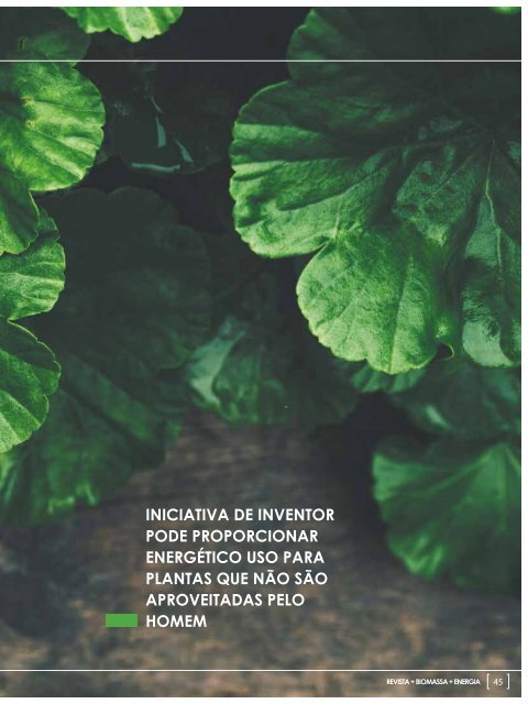 *Fevereiro/2019 - Revista Biomais 31