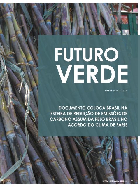 *Fevereiro/2019 - Revista Biomais 31