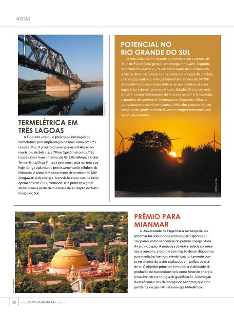 *Fevereiro/2019 - Revista Biomais 31