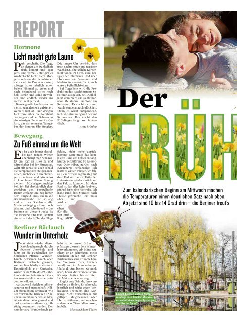 Berliner Kurier 20.03.2019