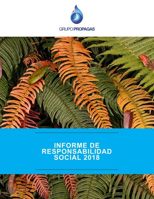 Informe de Responsabilidad Social