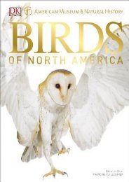 -BARGAIN-American-Museum-of-Natural-History-Birds-of-North-America-eBook-PDF-Download