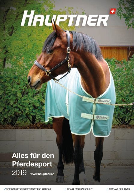5141 QHP Heunetz Multi Color Collection Reiten Pferd Pony Stall Masche ca 5x5cm 