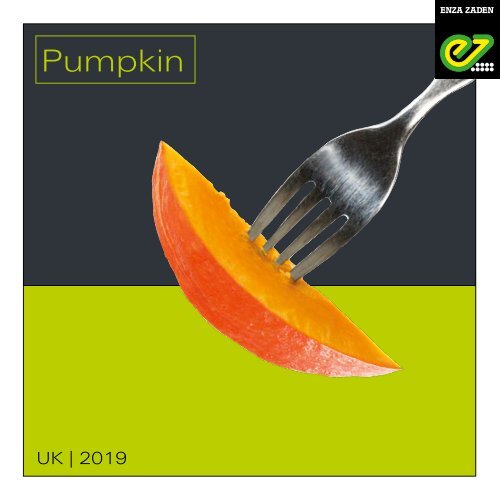 EZUK Pumpkin 2019