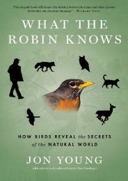 (STABLE) What the Robin Knows: How Birds Reveal the Secrets of the Natural World eBook PDF Download