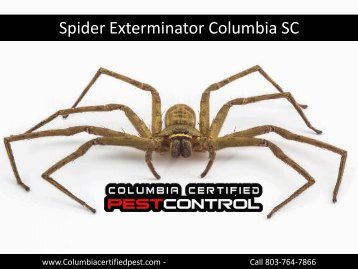 Best Spider Exterminator in Columbia SC