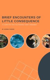 Brief Encounters of Little Consequence- Volume 1