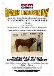 71 LIMOUSIN CATTLE FOR SALE - CCM Auctions