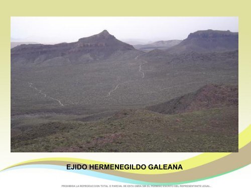 Predio_RCS_Galeana_ FOR SALE