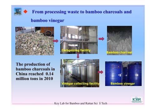 Bamboo Value Chain in China and the Importance ... - World Bamboo