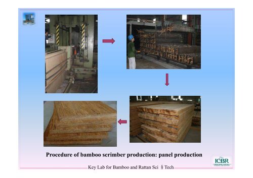 Bamboo Value Chain in China and the Importance ... - World Bamboo