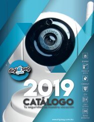 catDgs2019