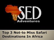 Top 3 Not-to Miss Safari Destinations In Africa-converted