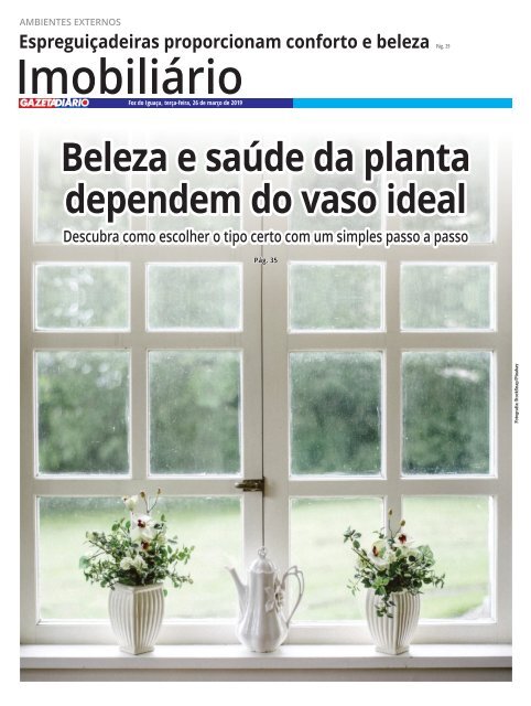 GAZETA DIARIO 831