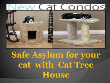 Safe Asylum for your cat  with  Cat Tree House