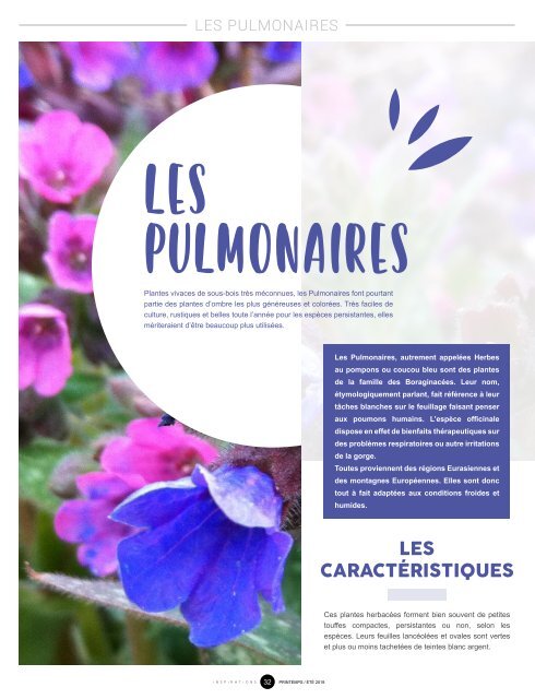 Magazine Inspirations n°25 - Printemps/Été