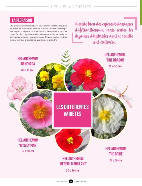 Magazine Inspirations n°25 - Printemps/Été