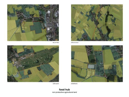 5.43 Food enabling Brussels: From ‘Broekzele’ to the Horizontal Metropolis