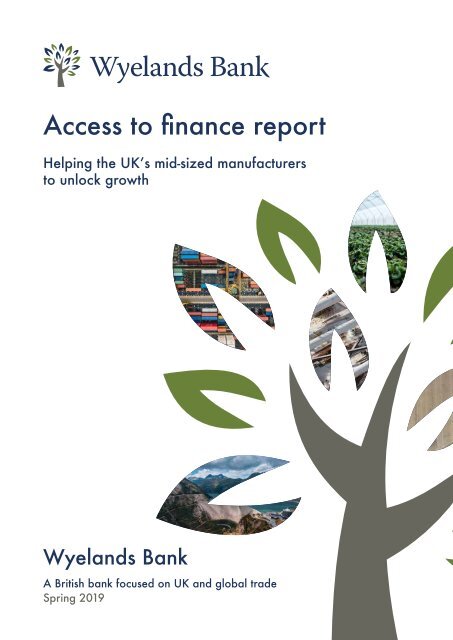 Wyelands Bank Access to finance report - Spring-2019