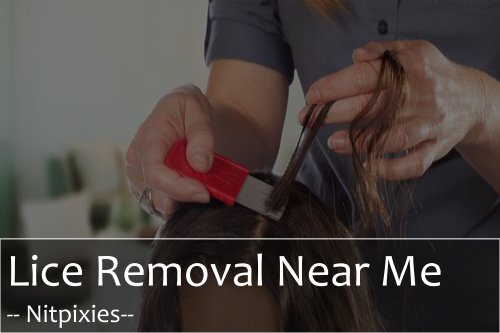 Get the Service of Lice Removal Near Me | Nitpixies