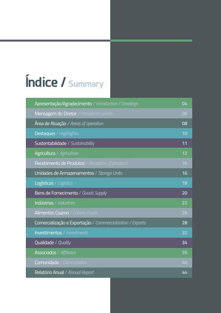 Relatório Anual / Annual Report (2018)