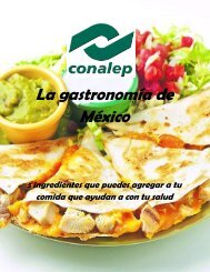 202 La gastronomía de México