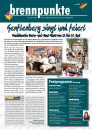 brennpunkte Juni 2008 - Stadtwerke Senftenberg