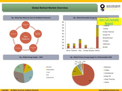 Global Biofuel-Market Research Report-Sample Pages