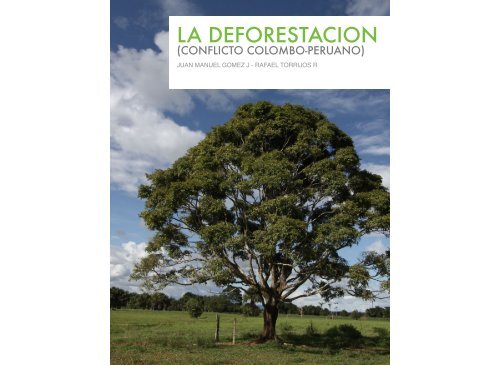 LA DEFORESTACION 