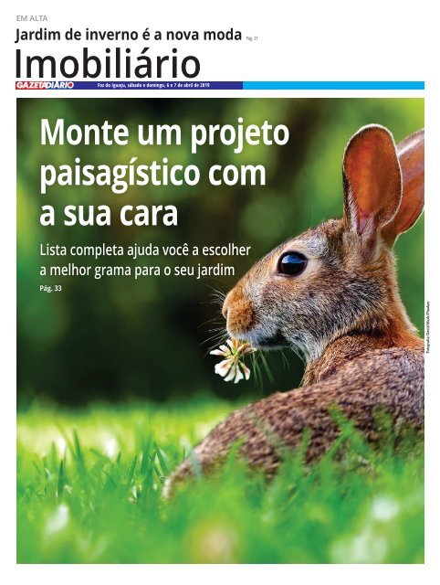 GAZETA DIARIO 841